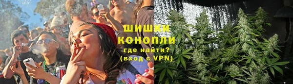 амф Вуктыл