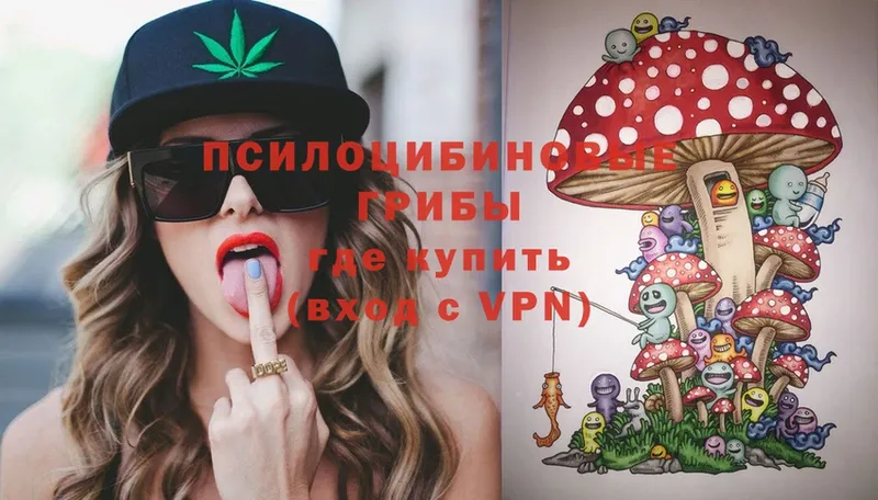 сколько стоит  Гаджиево  Псилоцибиновые грибы MAGIC MUSHROOMS 