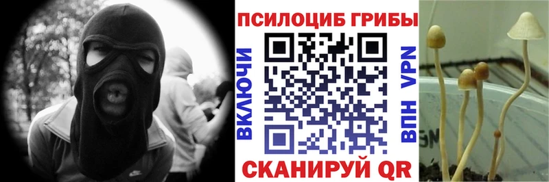 Галлюциногенные грибы мухоморы  дарнет шоп  Гаджиево 
